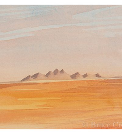 Bruce Crownover Postcard - Armagosa Valley series