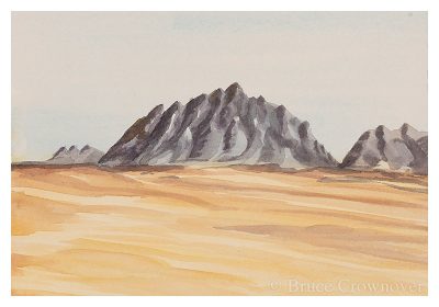 Bruce Crownover Postcard - Armagosa Valley series