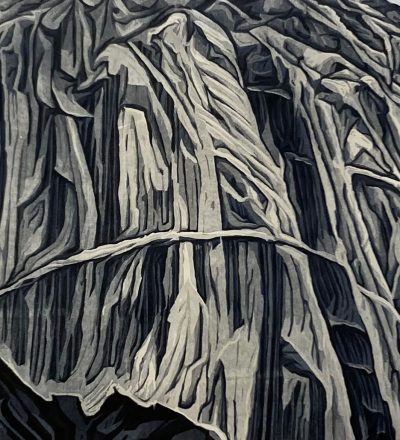 Bruce Crownover - 'Wind River Range 6' Reductive Woodcut Print